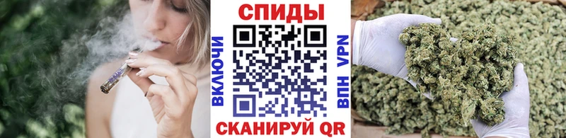 Купить где  Тобольск  БУТИРАТ буратино 