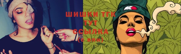 apvp Алексин