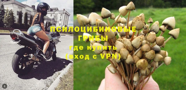 apvp Алексин
