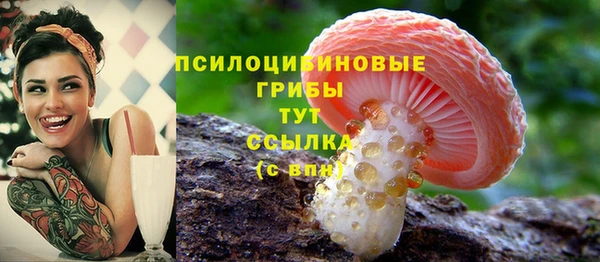 амфетамин Алексеевка
