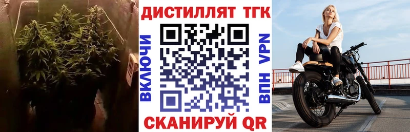 Купить закладки  Тобольск  ТГК THC oil 